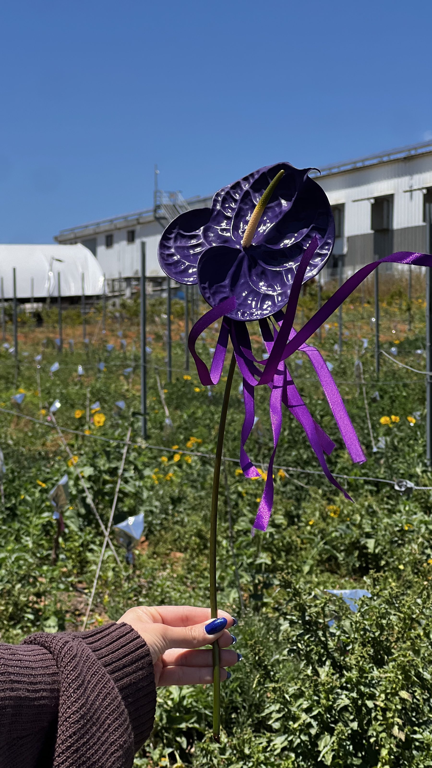 Floral art installation