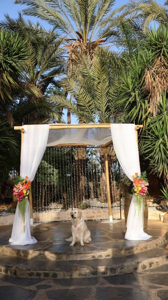 Chuppah ceremony arch